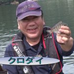 南伊勢町内瀬の筏チヌ大会(2017年10月28日放送）