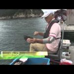 鳥羽市本浦の筏チヌ（２０１４年１０月１１日放送）