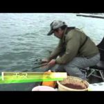 鳥羽市本浦の筏チヌ（2013年12月7日放送分）