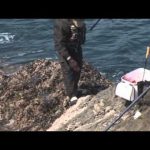 南伊勢町方座浦の磯グレ（2014年4月12日放送分）