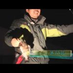 津市香良洲町のボートメバル（2014年5月3日放送分）