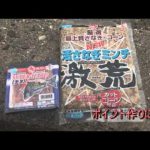 津市雲出　波止の紀州釣り（2014年7月19日放送分）