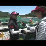 紀北町紀伊長島の釣堀大会(2014年8月2日放送分）