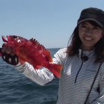 紀北町引本浦のボートの根魚パート２（2017年8月5日放送）