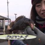津市の波止の根魚狙い（2018年3月24日放送）
