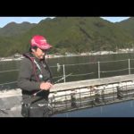 尾鷲市九鬼の釣堀（２０１４年１２月２０日放送）