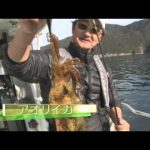 紀北町引本浦のボートエギング（２０１５年１月２４日放送）