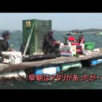 鳥羽市千賀の筏チヌ大会（２０１５年５月３０日放送）