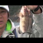 紀北町引本浦のボートのテンヤ（２０１５年１１月７日放送）