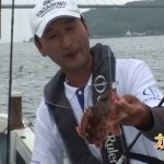 佐賀県唐津市肥前町のボートマダイ・根魚後編（２０１６年７月２３日放送）