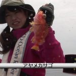 南伊勢町中津浜の船のタイラバ（２０１９年５月２５日放送）