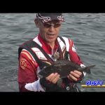 尾鷲市の磯グレ後編（2020年8月29日放送）