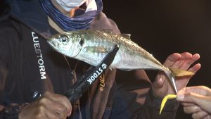 エスパプロ 速報 Fishing Point 三重県の釣り情報を随時配信中