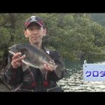 紀北町引本浦の磯チヌ後編（２０２４年５月１８日放送）