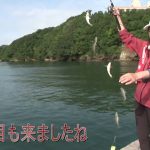 志摩市的矢の筏チヌ・五目（２０２４年１１月３０日放送）