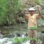 松阪市飯高町櫛田川上流のアマゴ稚魚放流と釣り体験
