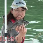 南伊勢町内瀬の筏チヌ大会（２０２５年１１月８日放送）