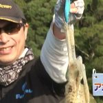 紀北町引本浦の船のティップランエギング（２０２５年１１月２９日放送）