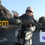 南伊勢町方座浦の磯グレ（２０２６年２月２１日放送）